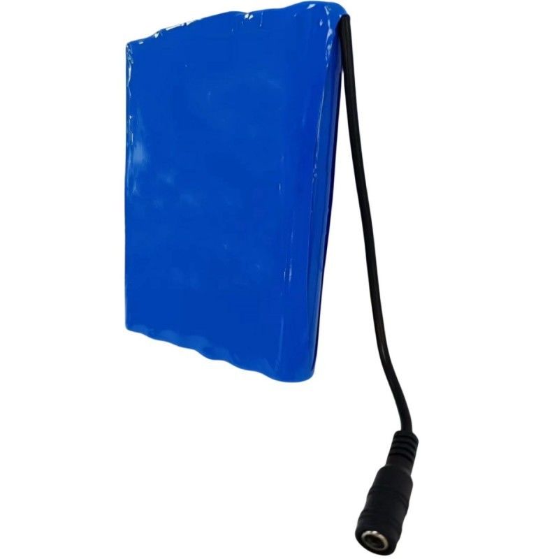 Slim 18650 Baterai Paket 6S2P 22.2V 5Ah Dengan DC 5.5x2.1mm Konektor BMS Di Atas