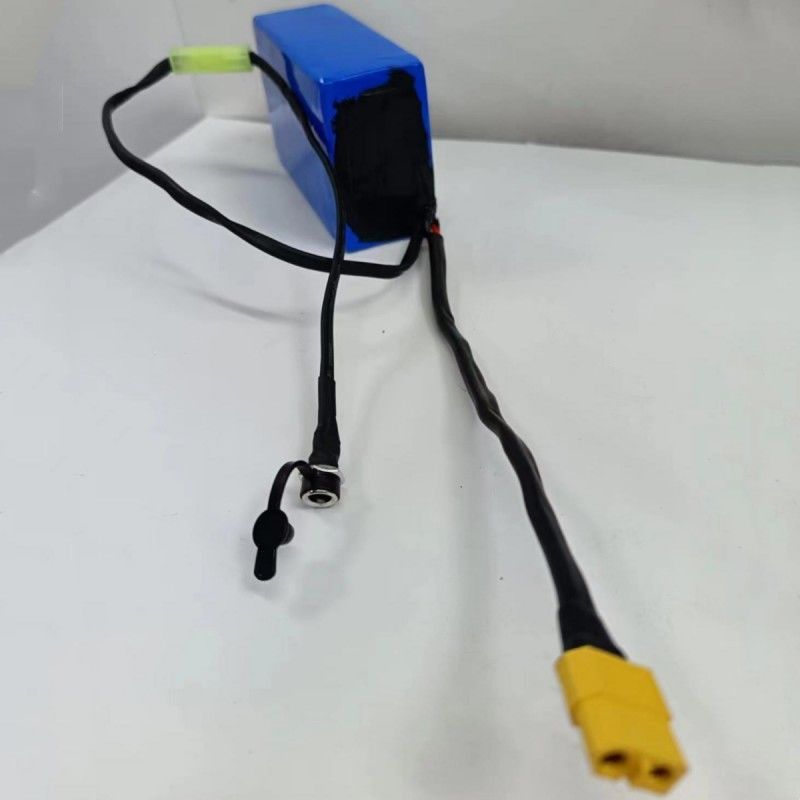 Dikustomisasi 18650 Baterai Paket 36V 2600mAh 10 Sel Dengan Tamiya Transfer Plug Kecil Untuk Muat