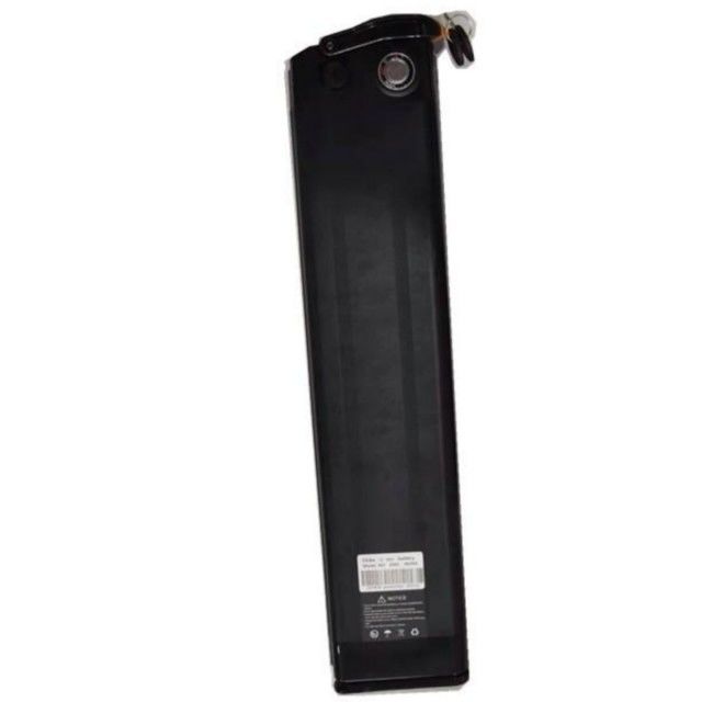 Baterai Litium Silver Fish 48V 25Ah Panjang 630mm dengan pengisi daya Untuk E Bike